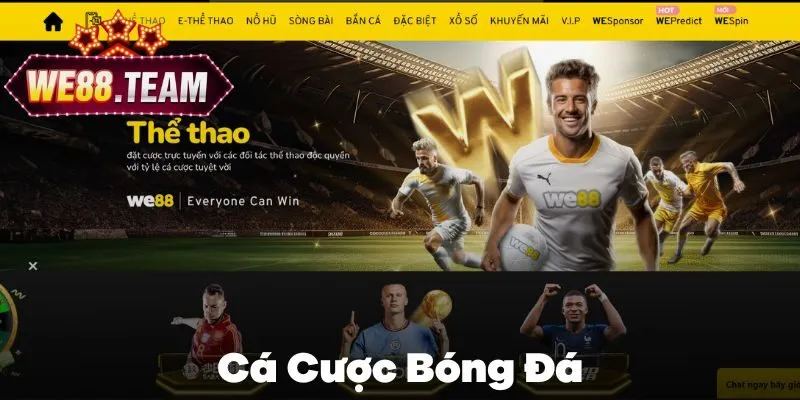 Cá Cược Bóng Đá